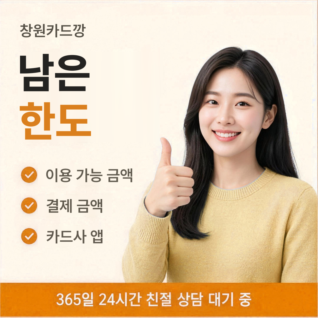다음머니 창원카드깡 남은 한도 안내